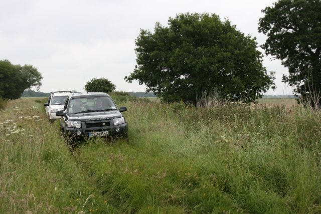  Sur la pointe des pieds à travers les fleurs 
